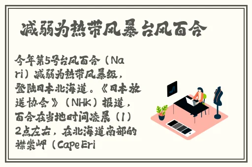 精品久久久久久**字幕